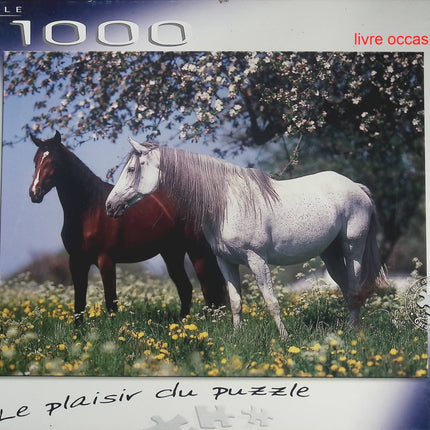 7 Wonders - Brettspiel