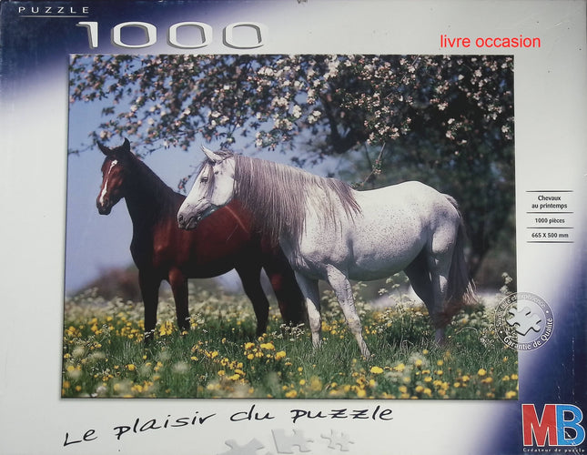 7 Wonders - Brettspiel