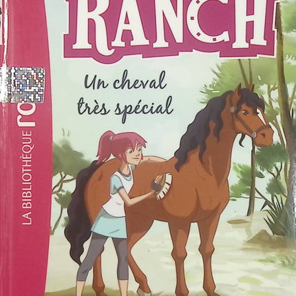 Le Ranch - Tome 7 : Un cheval très spécial - Christelle Chatel - Bibliothèque Rose - Roman jeunesse d'occasion - Livre