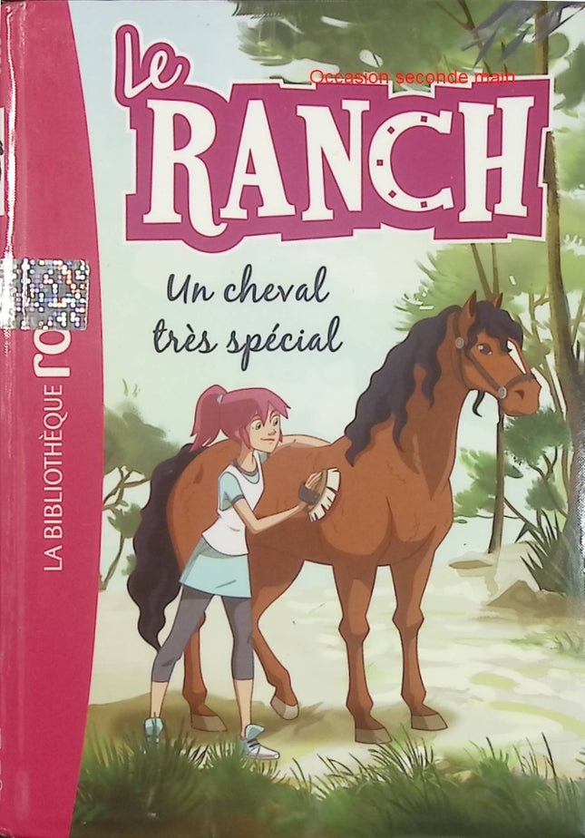 Le Ranch - Tome 7 : Un cheval très spécial - Christelle Chatel - Bibliothèque Rose - Roman jeunesse d'occasion - Livre