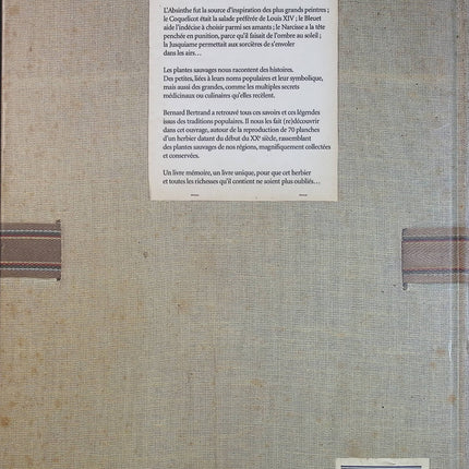 L’Herbier oublié – Bernard Bertrand – Nature, plantes sauvages et savoirs anciens d’occasion - Livre