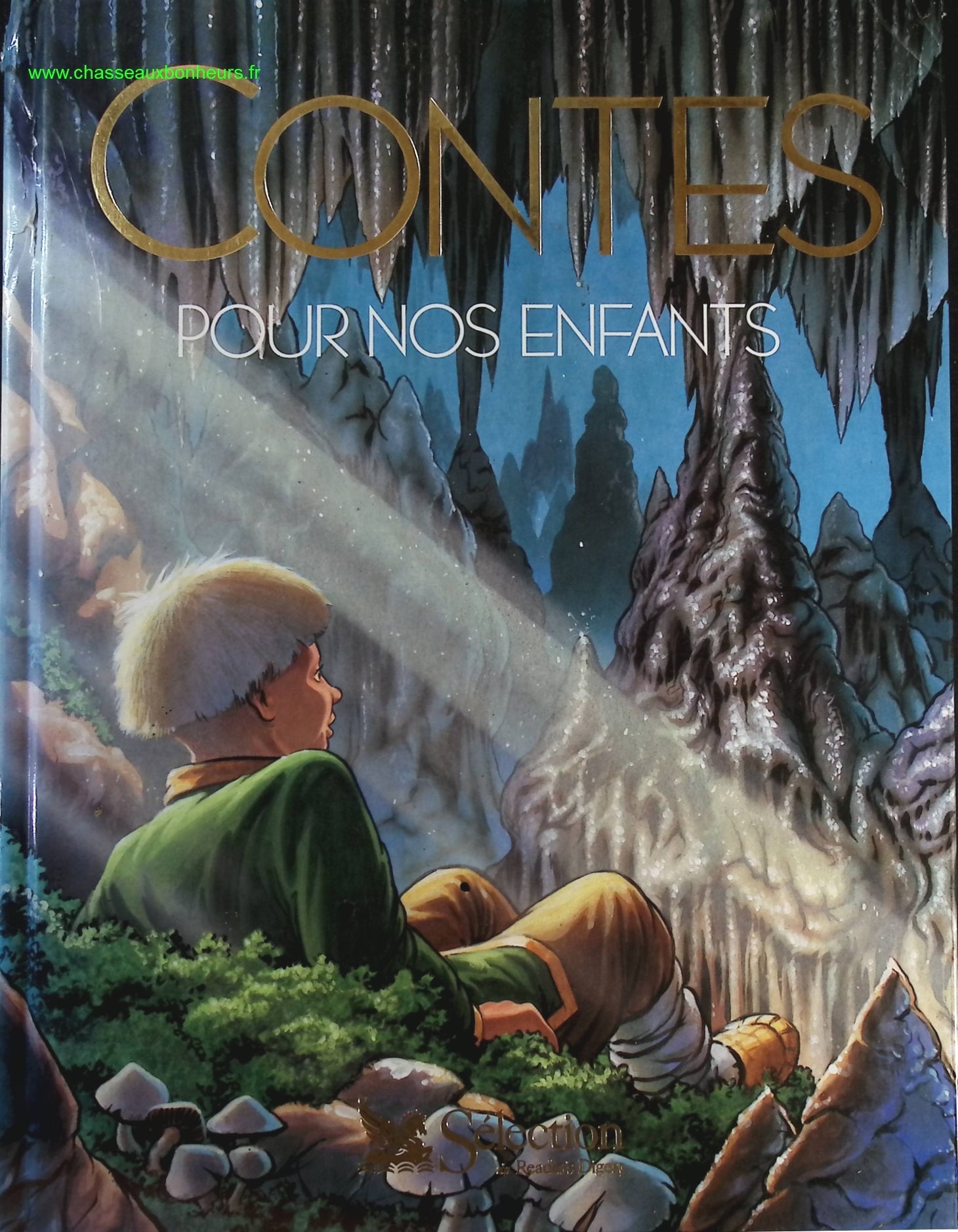 Someone Good - Françoise Bourdin - book