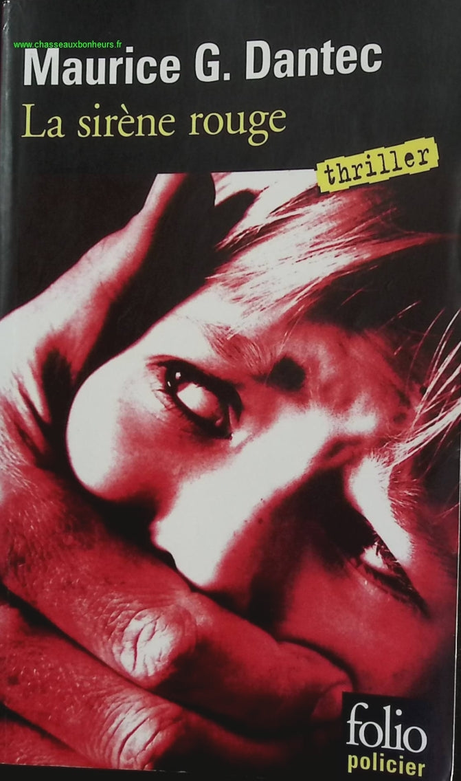 Someone Good - Françoise Bourdin - book