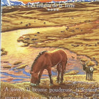 Children of the Earth, Volume 4, Volume 1 - The Great Journey - Jean M. Auel - Book / 2