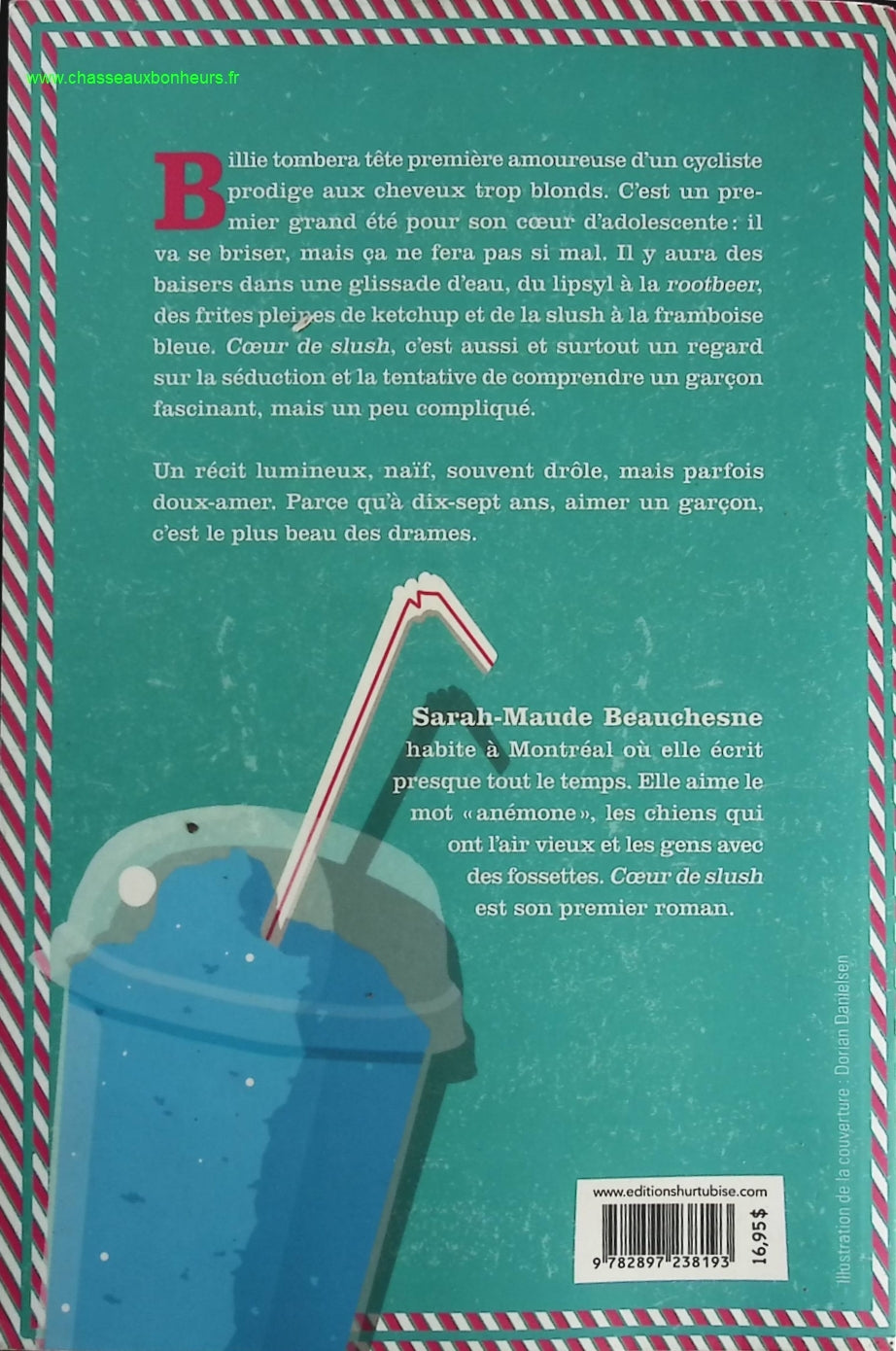 Coeur de slush - Sarah-Maude Beauchesne - livre