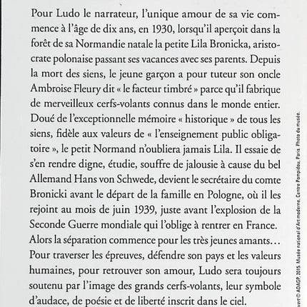 Drachen - Romain Gary - Buch