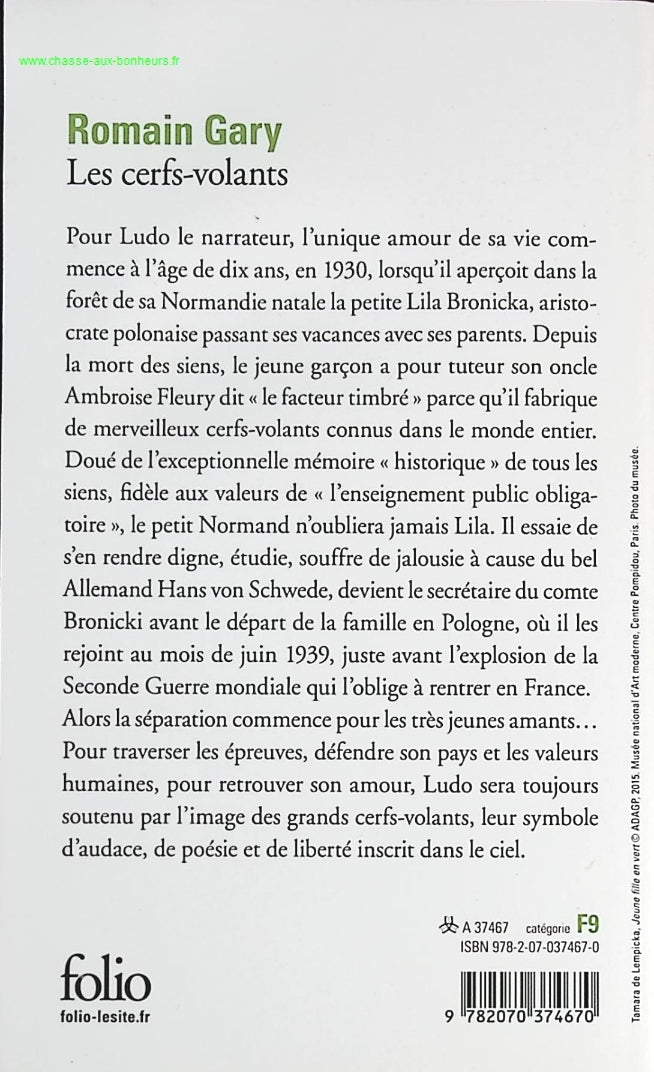 Kites - Romain Gary - book