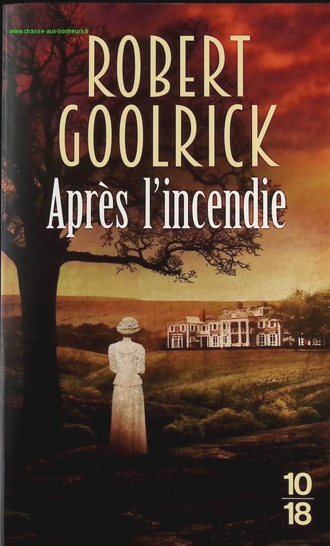 After the Fire - Robert Goolrick - book