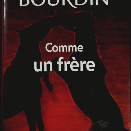 Comme un frère - Françoise Bourdin - livre