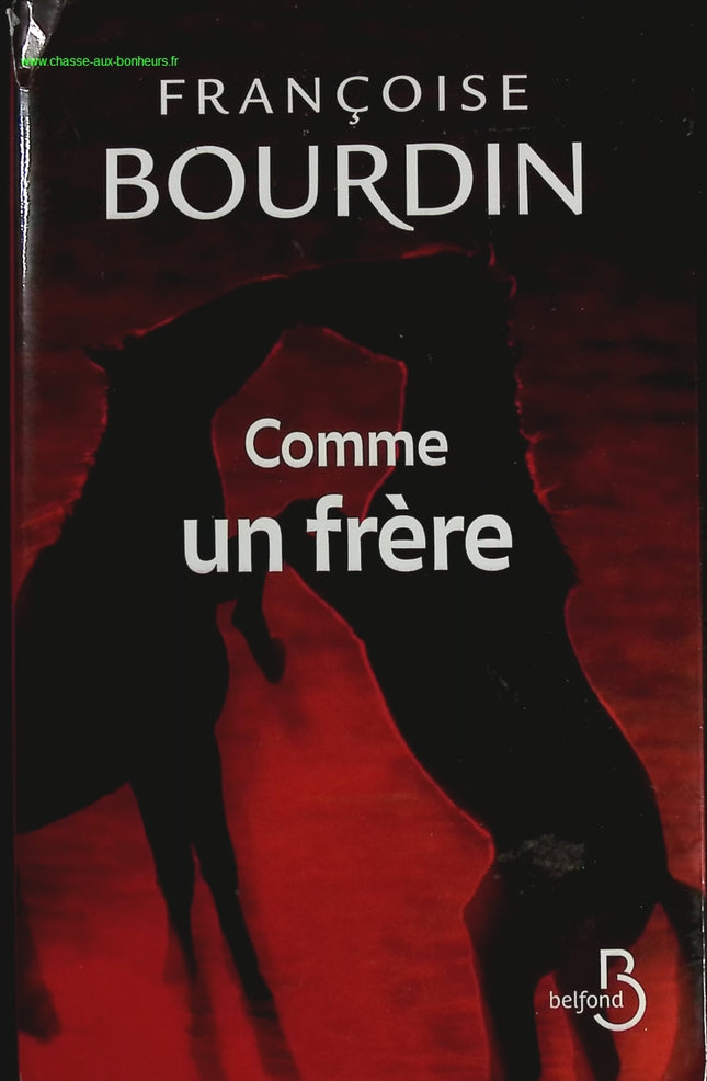 Comme un frère – Françoise Bourdin – roman familial et secrets du passé – livre d’occasion - livre