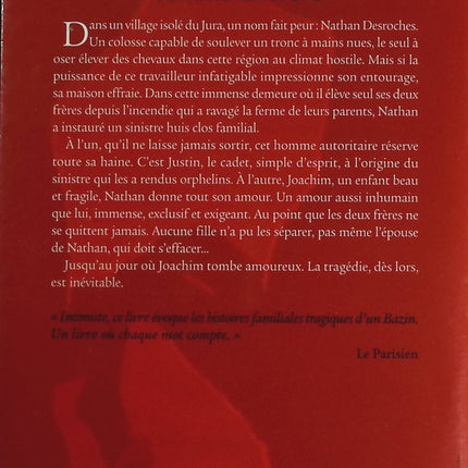 Comme un frère - Françoise Bourdin - livre