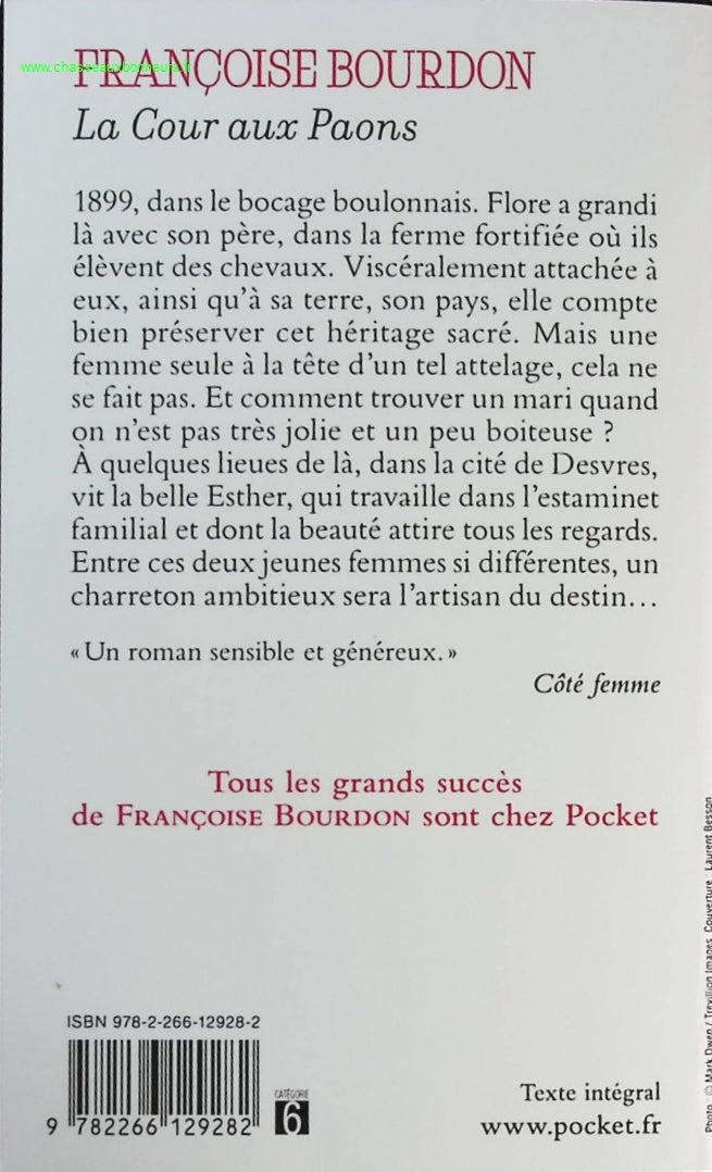 Someone Good - Françoise Bourdin - book