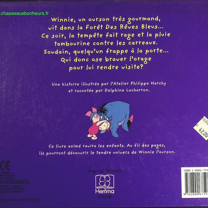 Une nuit mouvementée Winnie l'ourson - Disney - livre