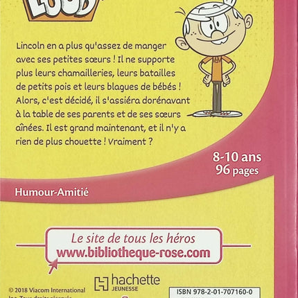 Bienvenue Chez Les Loud - Tome 3 - Le Grand-Frère - Bibliothèque rose - livre