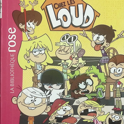Bienvenue Chez Les Loud - Tome 3 - Le Grand-Frère - Bibliothèque rose - livre