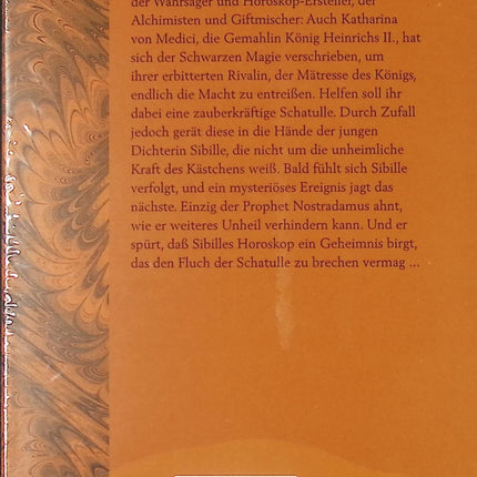 Roman historique mystère Die geheime Mission des Nostradamus Judith Merkle Riley prophéties intrigue livre occasion - Livre en Allemand