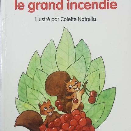 Marilou et le grand incendie - Valérie Zenatti - Roman jeunesse aventure et émotion - Livre