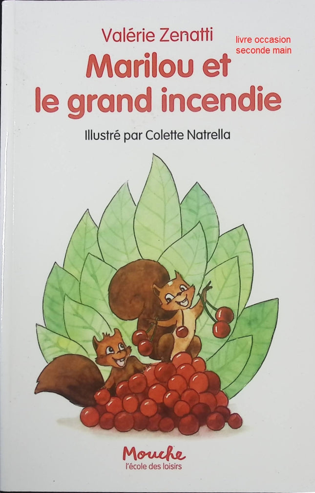 Marilou et le grand incendie - Valérie Zenatti - Roman jeunesse aventure et émotion - Livre