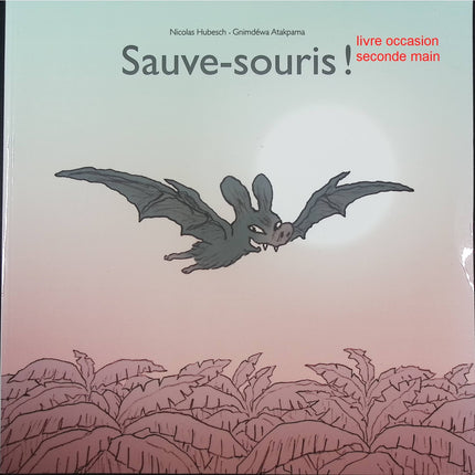 Sauve-souris ! - Nicolas Hubesch, Gnimdéwa Atakpama - Album jeunesse humour et aventure - Livre