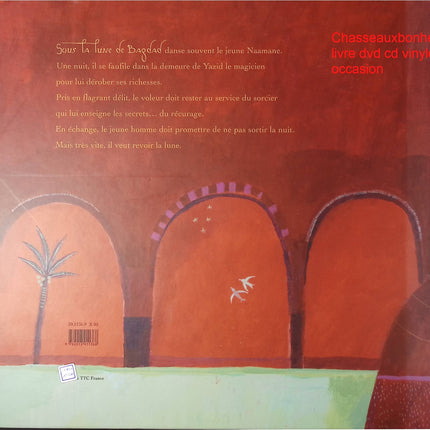 Le voleur et le magicien Aurélia Fronty Taï-Marc Le Thanh album jeunesse conte aventure magique illustré - Livre