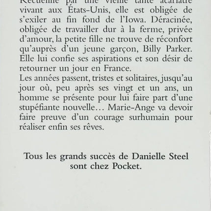 Roman contemporain drame familial et résilience – Courage Danielle Steel - Livre