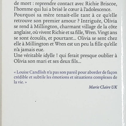 Avant de se dire adieu – Louise Candlish – Thriller psychologique suspense couple mensonges disparition - Livre