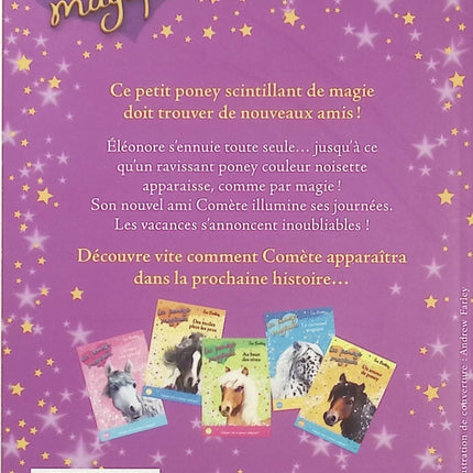 Les Poneys magiques Tome 1 – Un nouvel ami – Sue Bentley | Roman jeunesse fantastique avec poney magique, amitié et aventure pour enfants - Livre