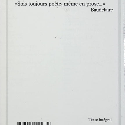 Le Spleen de Paris – La Fanfarlo – Charles Baudelaire – Poésie en prose et nouvelle littéraire du XIXe siècle - Livre