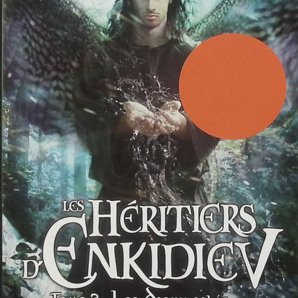 Les Héritiers d’Enkidiev – Tome 3 – Les Dieux ailés – Anne Robillard – Roman fantasy et aventure dans l’univers des Chevaliers d’Émeraude - Livre