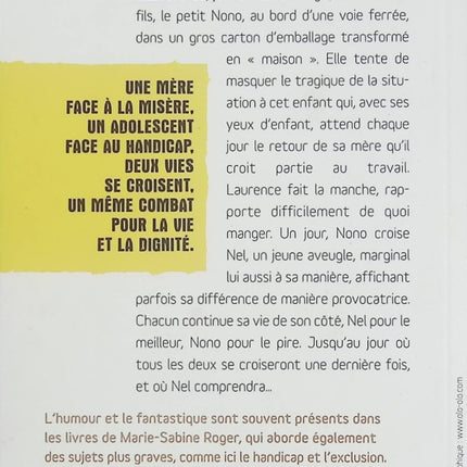 Attention fragiles – Marie-Sabine Roger – Roman social bouleversant sur SDF, mère et enfant en marge de la société - Livre