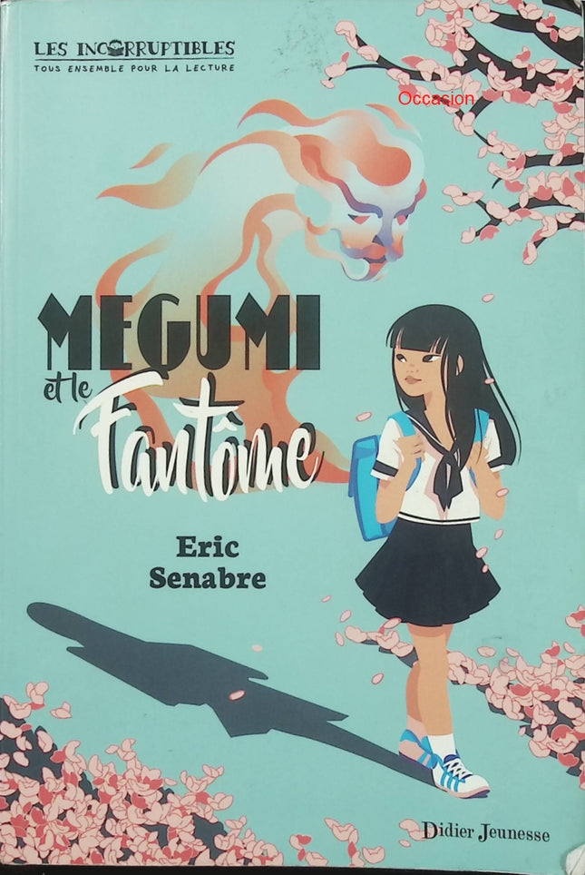 Megumi et le fantôme – Éric Senabre – Roman jeunesse fantastique Japon Irlande fantôme aventure enquête - Livre