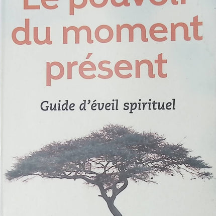 Le pouvoir du moment présent – Eckhart Tolle | guide d’éveil spirituel, pleine conscience et développement personnel - Livre