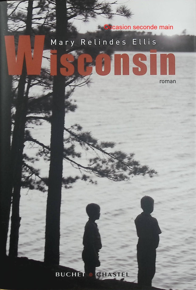 Wisconsin – Mary Relindes Ellis – Roman familial américain sur les secrets et les héritages - Livre