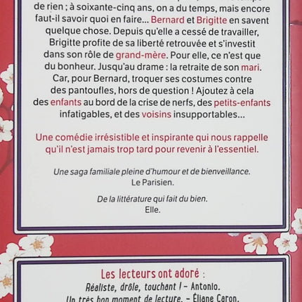 La Cerise sur le gâteau – Aurélie Valognes – roman contemporain, famille et humour du quotidien - Livre