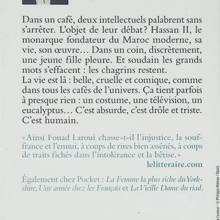 Tu n’as rien compris à Hassan II – Fouad Laroui – Roman satirique et politique sur le Maroc et le pouvoir - Livre