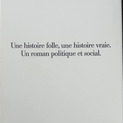 Biographie Les Strauss-Kahn Raphaëlle Bacqué Ariane Chemin enquête politique vie publique témoignage livre occasion - Livre