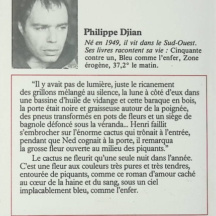 Bleu comme l’enfer – roman noir français Philippe Djian suspense psychologique occasion - Livre