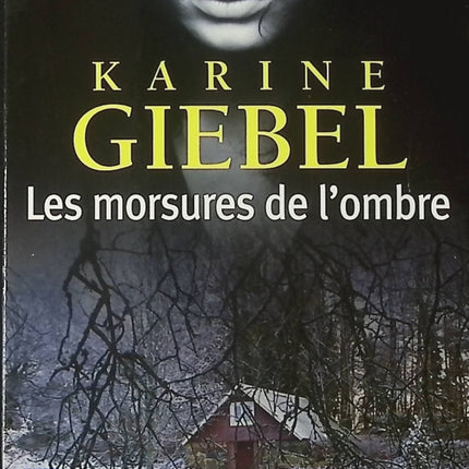 Thriller Les morsures de l’ombre Karine Giebel suspense psychologique roman noir intense livre occasion - Livre