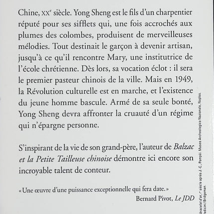 L’Évangile selon Yong Sheng – Dai Sijie – Roman contemporain entre Chine, art et quête spirituelle - Livre