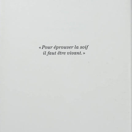 Soif – Amélie Nothomb roman introspectif biblique Jésus Christ récit spirituel moderne - Livre