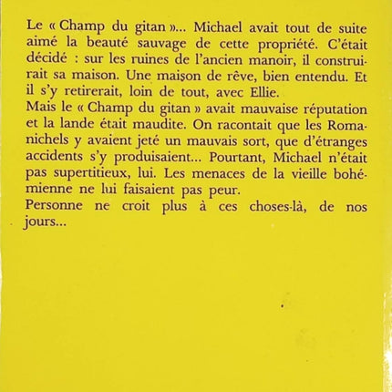 Roman policier classique suspense mystère – La Nuit Qui Ne Finit Pas Agatha Christie - Livre