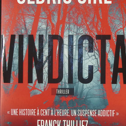 Vindicta Cédric Sire livre occasion – thriller psychologique suspense vengeance enquête sombre manipulation - Livre