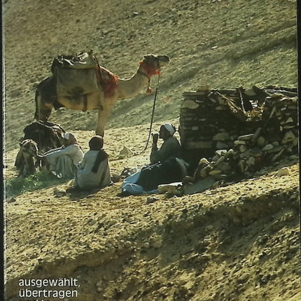 Das Alte Testament – Kreuz Verlag – Texte biblique de l’Ancien Testament en allemand - Livre en Allemand