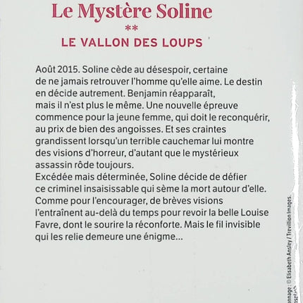 Le Mystère Soline Tome 2 Le Vallon des Loups roman saga familiale historique Marie-Bernadette Dupuy occasion pas cher - Livre