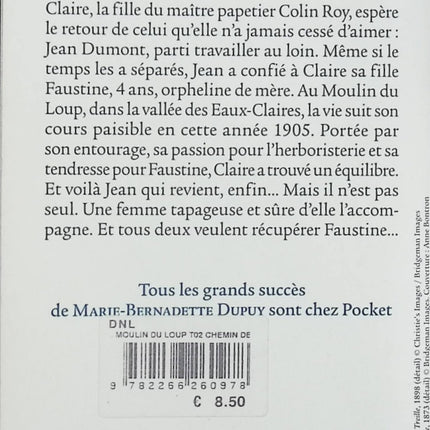 Le Moulin du Loup Tome 2 Le Chemin des Falaises roman saga familiale historique Marie-Bernadette Dupuy occasion pas cher - Livre