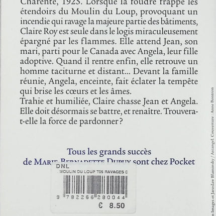 Le Moulin du Loup Tome 5 Les Ravages de la Passion roman saga familiale historique Marie-Bernadette Dupuy occasion pas cher - Livre