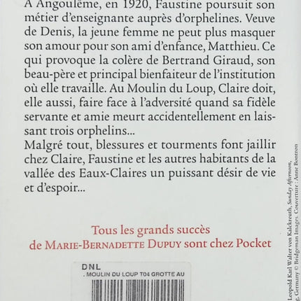 Le Moulin du Loup Tome 4 La Grotte aux Fées roman saga familiale historique Marie-Bernadette Dupuy occasion pas cher - Livre