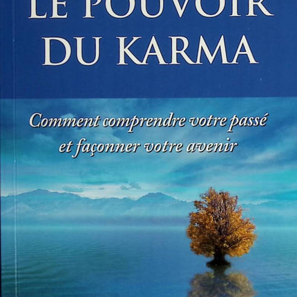 Die Macht des Karma – Wie Sie Ihre Vergangenheit verstehen und Ihre Zukunft gestalten – Mary Browne – 2003 – Buch