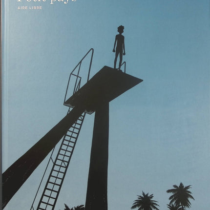 Petit pays – Gaël Faye, Marzena Sowa, Sylvain Savoia – BD adaptée du roman, enfance, Rwanda, Burundi et guerre - Livre BD