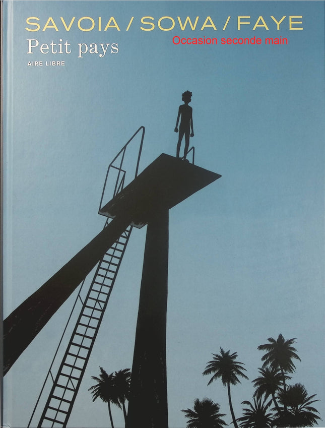 Petit pays – Gaël Faye, Marzena Sowa, Sylvain Savoia – BD adaptée du roman, enfance, Rwanda, Burundi et guerre - Livre BD